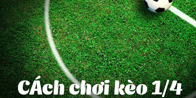 Chiến lược đặt cược với kèo chấp 1/4